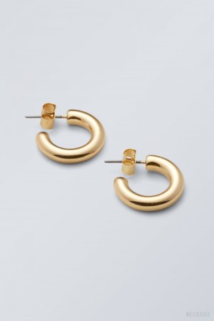 Weekday Bold Hoops Golden | EQWO3614